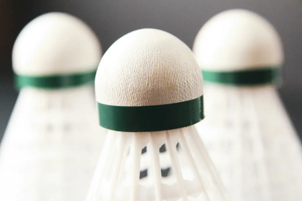 badminton-8