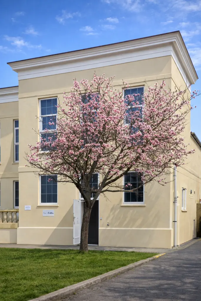 Winchester Lido Tree